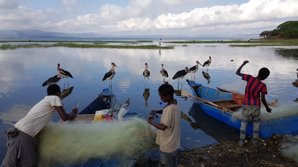 Pêcheurs et Marabouts d'Afrique, Lac Awassa
