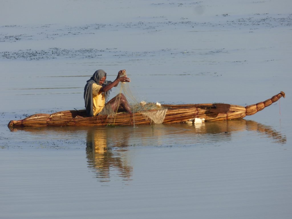 Pêcheur du Lac Tana, sur son bateau en papyrus