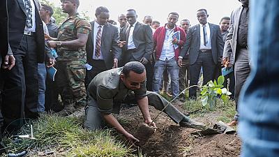 Le Premier Ministre éthiopien Abiy Ahmed donnant le coup d'envoi du programme de plantation de 4 milliards d'arbres. Déjà plus de 3 milliards de plants sont actuellement en cours de développement dans des pépinières